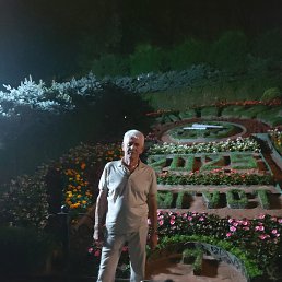 ������, 58 ���, ���������