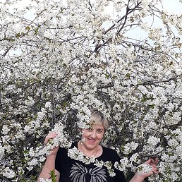 ������, ��������, 57 ���