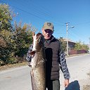 ���� Alekcandr, �����-���������, 50 ��� - ��������� 3 ������� 2024 � ������ ������ ��������