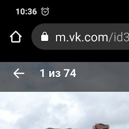 �������, �����������, 43 ����