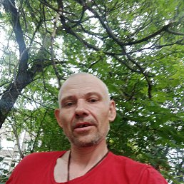 , 42 , 