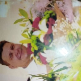 ������, 52 ����, ����