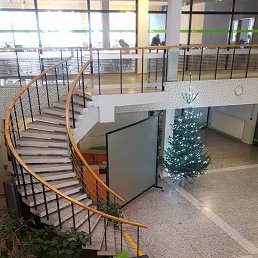 ���� ������, ������� - ��������� 18 ������ 2025