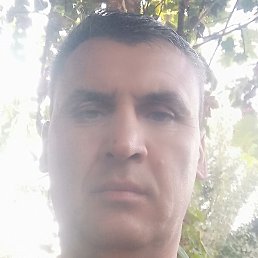 �����, �������, 40 ���