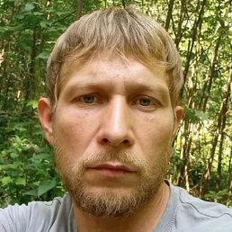 ���������, �������, 34 ����