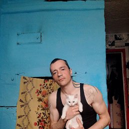 �����, ������, 32 ����