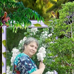 , 57, 