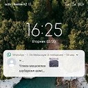 ���� ����, �������, 40 ��� - ��������� 12 ����� 2024 � ������ ���� ����������