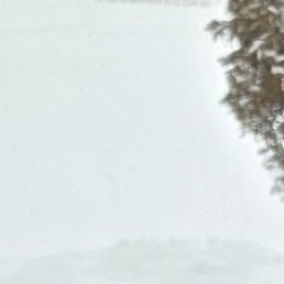 �����, ��������, 40 ���