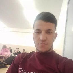 , 26, 