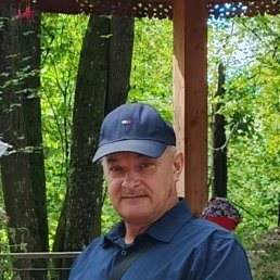 , 61,  
