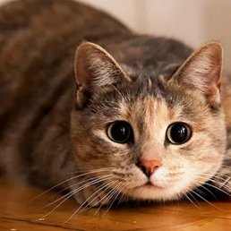 �����, �����, 20 ���