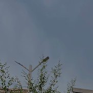 �����, 33 ����, ������