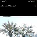 ���� �������, ������ �����, 41 ��� - ��������� 25 ������� 2025 � ������ ���� ����������