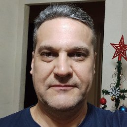 ����, �����-���������, 44 ����