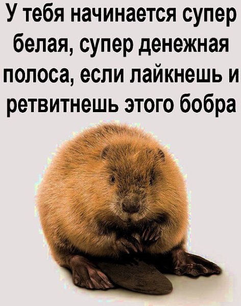 Ну а вдруг сработает? Так что на перепост!?