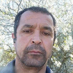 ����, ������, 45 ���