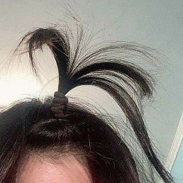 Hemo, ������, 22 ����