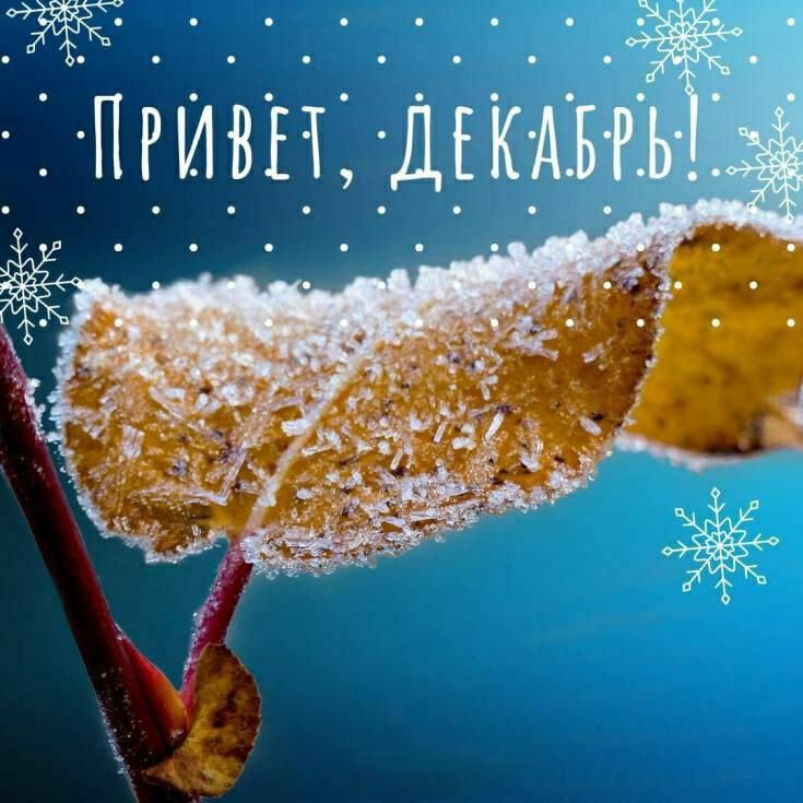   ,    . - 1  2025  00:37 - 7