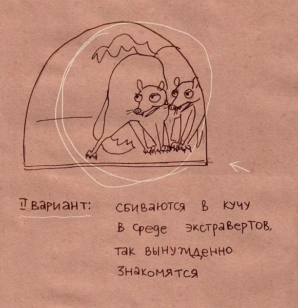 � ���� ��� ��������? - 3