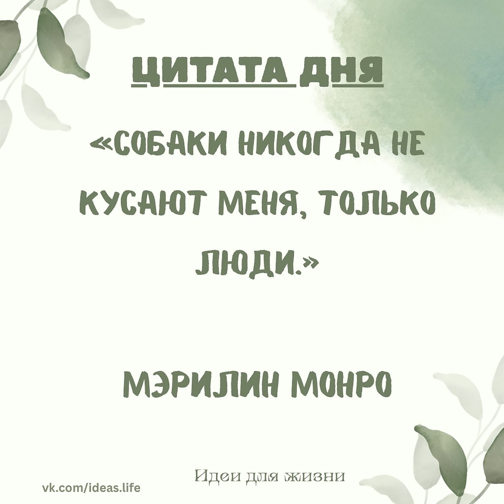 На первый взгляд — ироничная, почти лёгкая фраза. Но за ней — усталость и боль человека, который ...