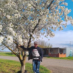 ������ ����������, 58 ���, ����