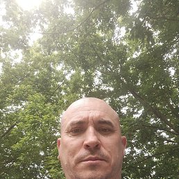 , 45 , 