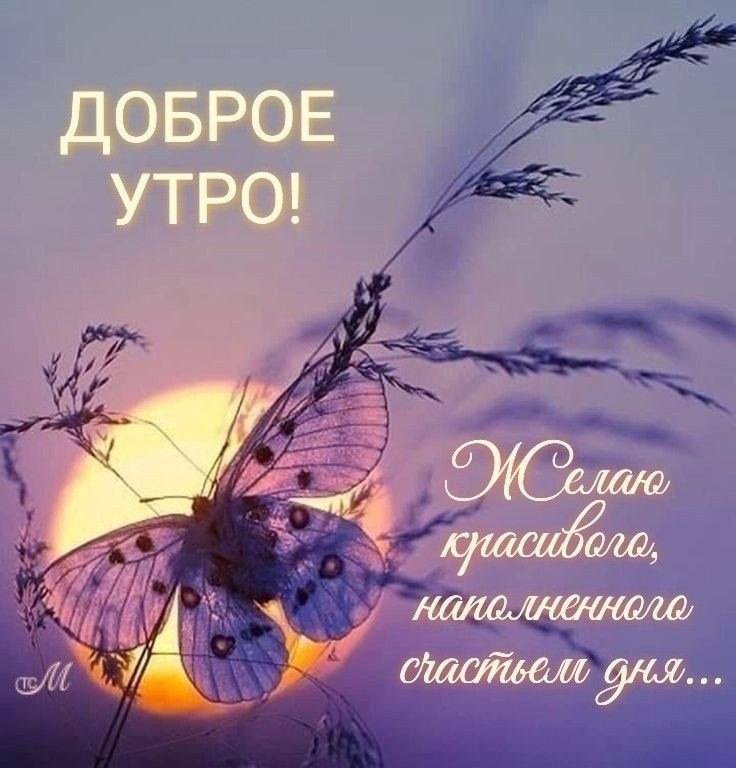 Юлия - 3 апреля 2025 в 08:29