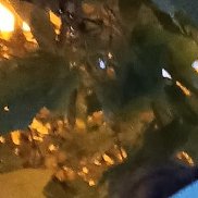 �����, 37 ���, ������