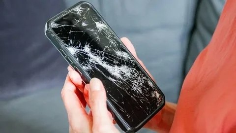 � ����� �������� ������� ������� �������� ���� ��������� ��������. �������: 