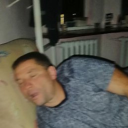 ����, ���������, 46 ���