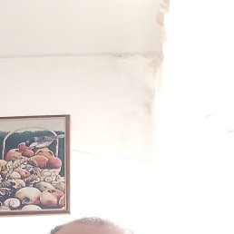 , 57, 