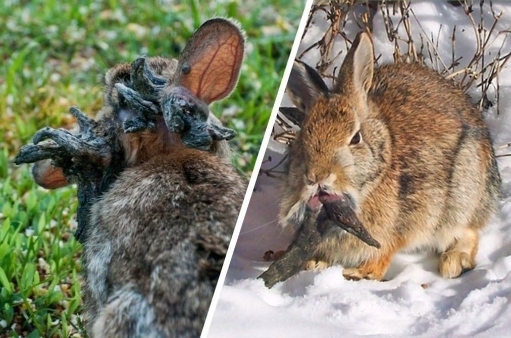 -              ... - 2