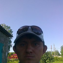 , 46 , 
