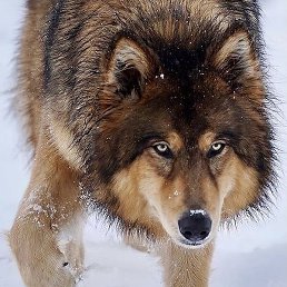 _�_�_l_�_�_�_�_, ������