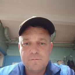 , 37, 