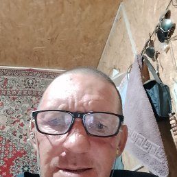 , 48 , --
