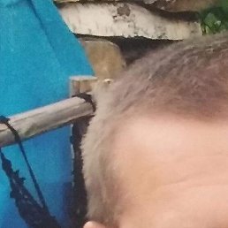 ����, ����������, 35 ���