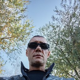 , 45, 