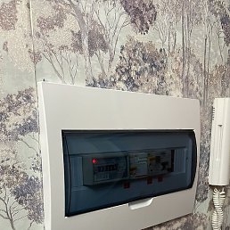 ����, ����, 29 ���