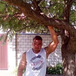 ����, ������, 46 ���