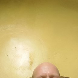 , 46 , 