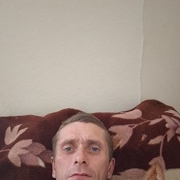  , 37,  