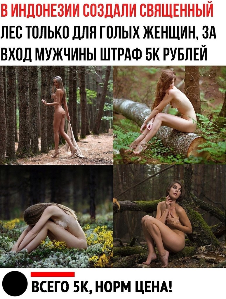 ��� ��� ���� ����������� �����