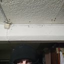 ���� ������, ��������, 43 ���� - ��������� 24 ������ 2026 � ������ ���� ����������