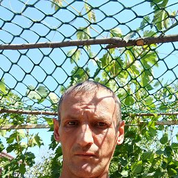 , 41, 