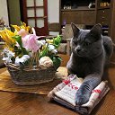 ���� ����������, �������, 51 ��� - ��������� 30 ������ 2025 � ������ ������ ��������