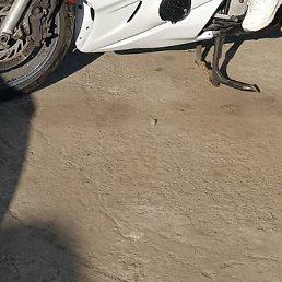 ��������, ������, 59 ���