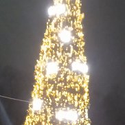 �������, 37 ���, ������