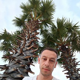 , 37, 